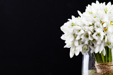 bouquet of snowdrops in vase