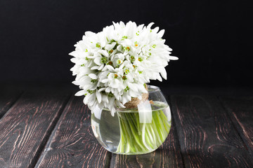 bouquet of snowdrops in vase