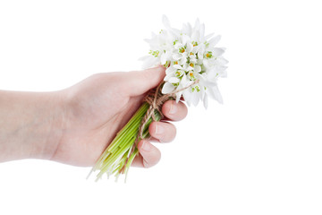 snowdrop bouquet hold hand