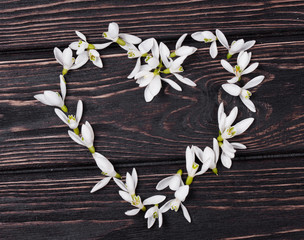 Floral heart with snowdrops.