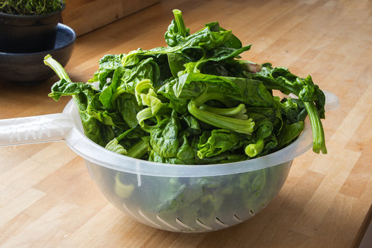 fresh spinach leaves in a plastic colander on the wooden kitchen board