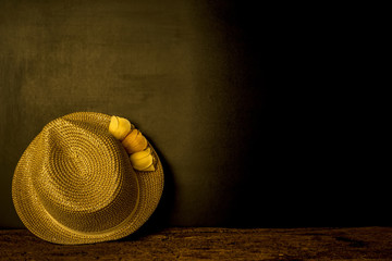 Girl straw hat on dark background