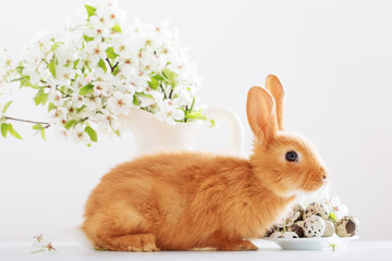 Red rabbit with Easter eggs on white background