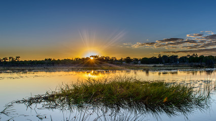 Okavango sunset - obrazy, fototapety, plakaty