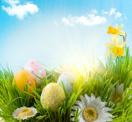 Easter. Beautiful colorful eggs in spring grass meadow over blue sky