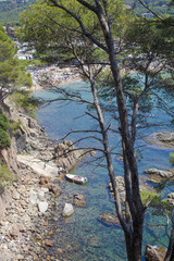 View of beach in summer in Llafranc