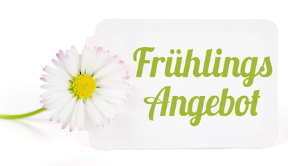 Frühlingsangebot