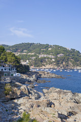 Fototapeta premium View of coastline in summer in Llafranc