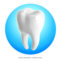 Tooth on a blue background. Vector