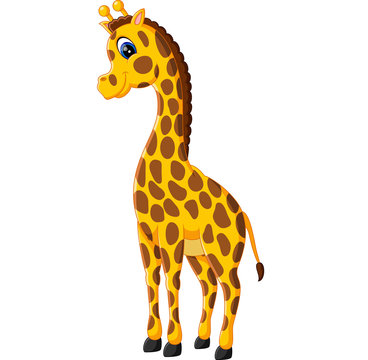 Cute giraffe cartoon of illustration
