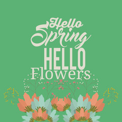 hello spring design 