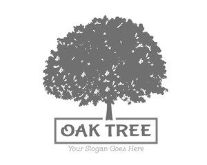 Fototapeta premium Vector Oak Tree Logo