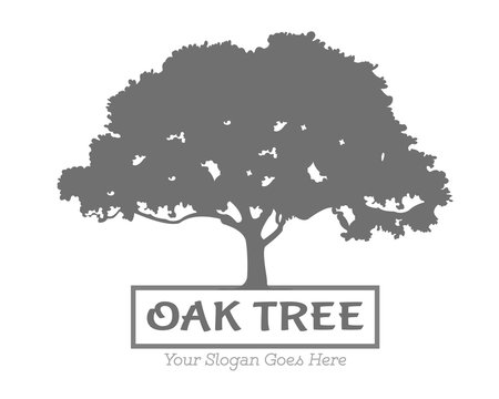 Vector Oak Tree Logo