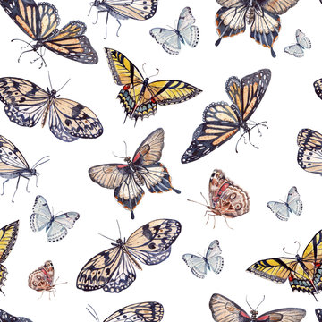 watercolor pattern with beautiful butterflies. 