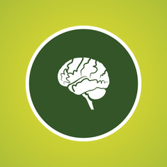 Human Brain Icon
