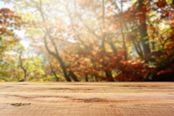 Wooden desk and blur beautiful autumn forest background.