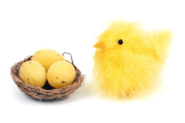 Fototapeta Wielkanocny kurczak obraz