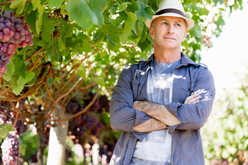 Man standing in vineyard