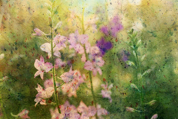 Obraz na płótnie Canvas pink delphinium flowers and watercolor spatter