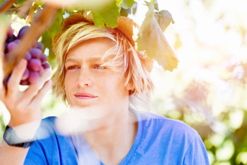 Boy in vineyard