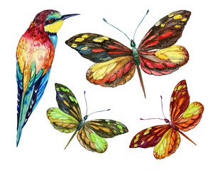 иллюстрация акварелью ,птичка,бабочки 