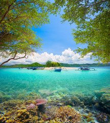 coral reef in background of tropical desert island