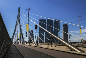 Erasmus bridge in Rotterdam, Holland, Netherlands.