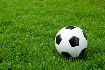 Fototapeta premium Football on the lawn