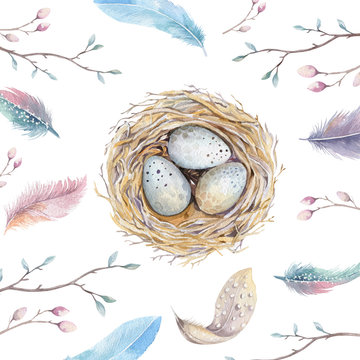  Hand drawn watercolor art bird nest with eggs ,easter design. 