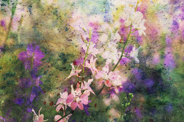 delphinium flowers and watercolor splashes © abigail210986