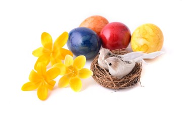 Easter. Easter eggs, easter nest, painted Easter eggs, Easter spring flowers, Easter flower. Easter nest and bird. Easter card, on white background. 