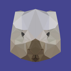 abstract geometric polygonal wombat background