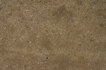 texture of the rocky surface of the globe