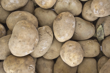 Ortaggi e frutta al mercato
