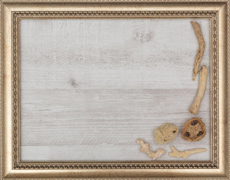 gilded picture frame with shells inside