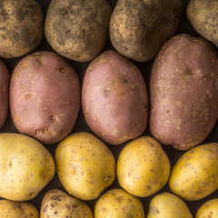 Raw potatoes mix background square