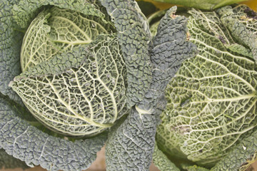 Ortaggi e frutta al mercato 
