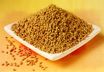 FENUGREEK SEEDS