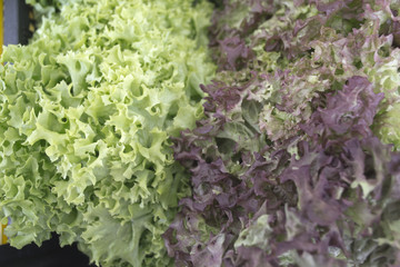 Ortaggi e frutta al mercato
