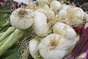 Ortaggi e frutta al mercato
