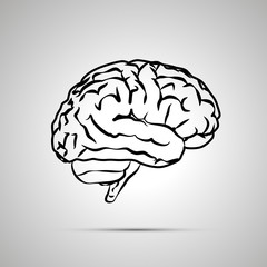 Human brain, black vector icon