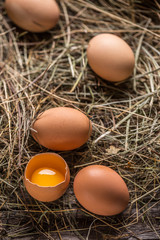 brown eggs in a nest