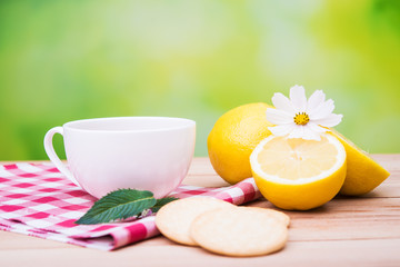 hot camomile tea