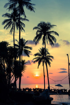 Palm trees silhouettes at tropical coast during an amazing sunset.