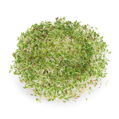 Sprouted alfalfa seeds on a white background