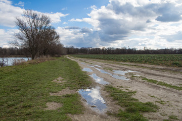 Country road with puddles