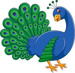 Fotobehang illustration of Cute peacock cartoon © hermandesign2015