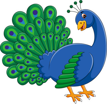 illustration of Cute peacock cartoon