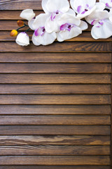 Fototapeta na wymiar Orchid on a wooden background, space for text