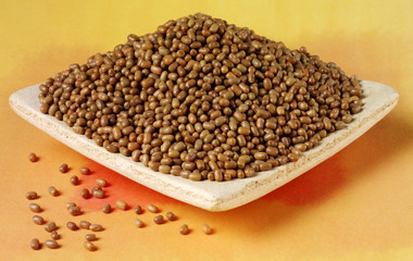 MUTH / MOTH BEANS